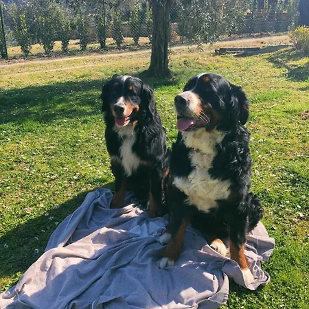 カントリーハウス Otium